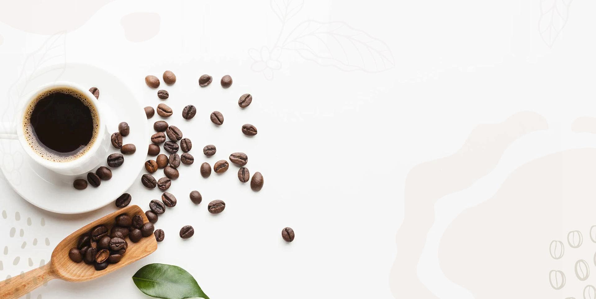 <h1>Relax and enjoy your coffee<br />
Enjoy it</h1>

<p>Caffe Fresco also roasts the coffee beans itself, allowing you to drink fresh coffee.</p>
